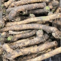 Ekologiczny chrzan korzeń 0,5kg