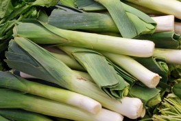 Ekologiczny por - sztuka