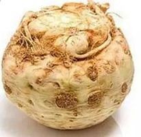 Bio seler korzenowy kg
