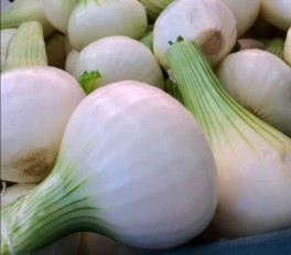 Ekologiczna cebula 1kg