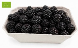 Ekologiczna jeżyna 0,5 kg