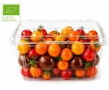 Ekologiczny pomidor 0,5kg KOKTAJLOWY MIX