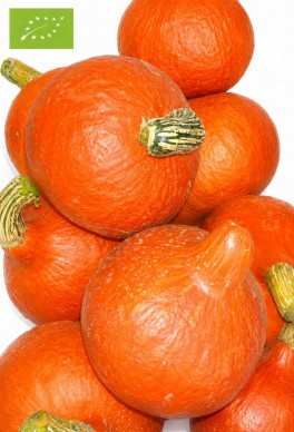 Ekologiczna dynia 1kg