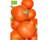 Ekologiczna dynia 1kg